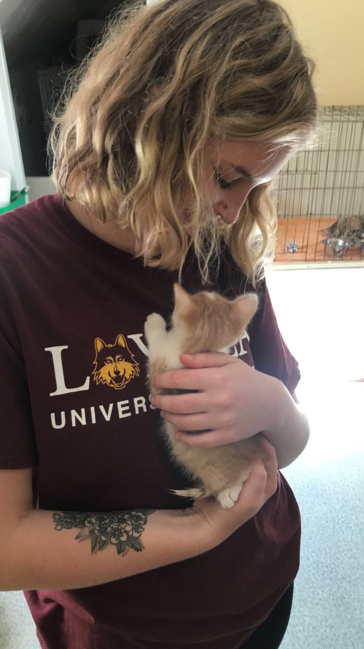 Image of Bryn Siberski wearing a maroon shirt and holding a kitten